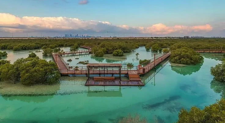 jubail-mangroves