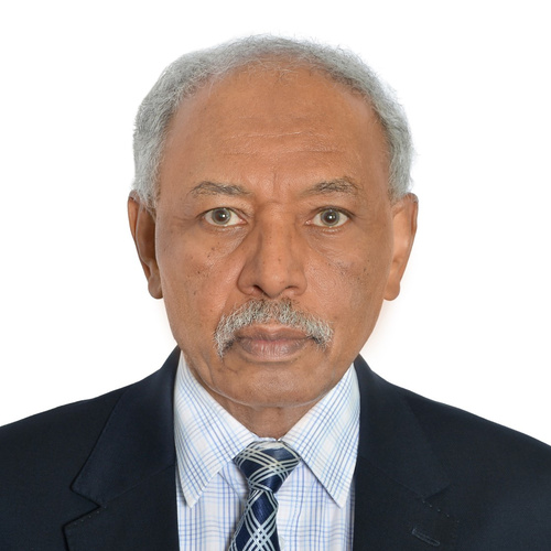 Yousif Eltayeb